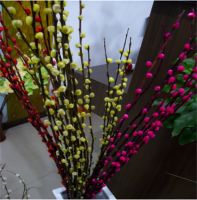 客厅一般放多少只银柳 摆银柳的风水忌讳有哪些