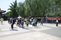 2020年“共享夏季 · 东戴河之行”旅游推介会圆满礼成