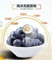 伊莱克斯新格局对开门冰箱新品上市仅需6999元