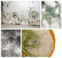 【YASLAN】梅雨季节，让雅诗澜墙布来拯救你的墙面！