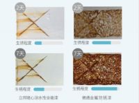 一罐成功出圈的全能产品 立邦随心涂水性全能漆上市