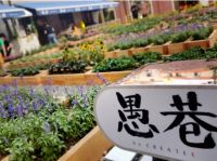 创邑社趣更馨：都市美好乐园邀你共创向往的生活