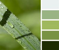 【YASLAN】自然清新的家居生活，邂逅家里的绿洲