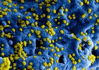 以“青耕”为名 愿天下无疫！四维“青耕”抗菌智洁釉问世