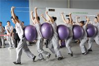 欢乐 激情 团结 奋进 运动 健康 展望——记大卫地板第22届运动会