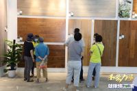 家居三大主流消费模式下，第十二届圣象力量再次精彩呈现