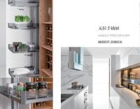 柏厨厨柜新品礼白耀世登场 于厨房中礼遇人生