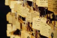 你想要的理想生活，为什么缺它不可