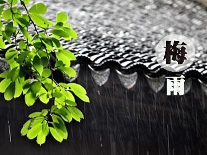 莱克智能除湿机打造干爽环境，让你的<a href=