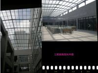 世华国际广场项目开展在即，国内海鲜市场或将迎来新的春天