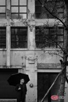 袁珂：自由是一种境界