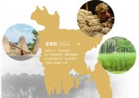 麻立方：梅雨季，拯救职场老“湿”人