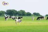 乘风破浪20年，3000万新生见证优博正青春