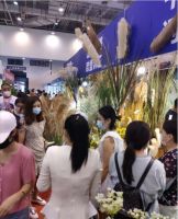 行业复苏第一展 携手共创新繁荣 第55届全国工艺品交易会