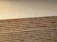 慧眼识材：莫干山板材，看得见的品质保障