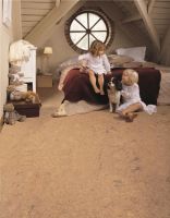 品质家居按需取材，家装圈C位出道的软木地板