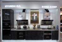 油·净无痕 烟·静无声--HYUNDAI现代新品线上发布