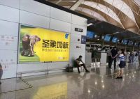 【新品发布】您有一封来自圣象商用地材的邀请函，请查收