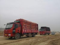 “新基建”风口下,联塑再一举中标雄安容东片区管廊建设项目