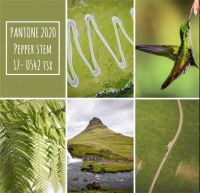 【YASLAN】充满活力的草绿色，清新脱俗的诗意家居