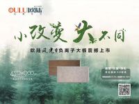 陆美居风光系列负离子大板吊顶，装点你的健康环保家