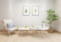 千年舟健康地板浅色系列，营造高级家居居住品质与格调！