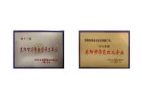 闻品坊：匠心打造精品黑酸枝家具