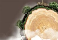 澳思柏恩致力于绿色环保智造，打造高端健康家居品牌！