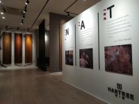 NARTREE乐树携手世界木业巨擘 打破疫后行业坚冰