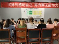 1800万补贴强势入场 墙布窗帘经销商报名火热