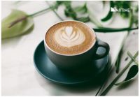 第六空间“拍了拍”蜜太 蜜太新现代家具全球品牌战略首发