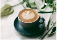 第六空间“拍了拍”蜜太，蜜太新现代家具全球品牌战略首发