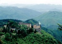 莫干山地板：“走进莫干山”设计师工厂行，探索自然魅力，纵享品质之旅