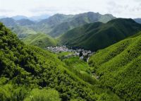 莫干山地板：“走进莫干山”设计师工厂行，探索自然魅力，纵享品质之旅