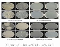 为什么说火鸡消毒刀架是品类的开创者