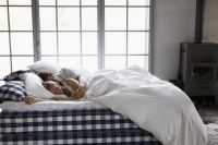 正解八小时睡眠论，海丝腾带你重塑健康睡眠观