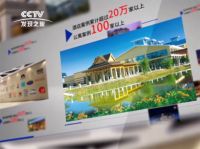 致敬房地产智能锁首选品牌杨格智能门锁二十周年