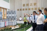 居然之家汪林朋董事长情系家乡 助力湖北疫后经济重建