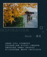 欧仕莱新品解读 Moral · 摩珞 “隐居”于现代都市的静谧空间