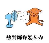 今日大暑 | 涂料夏季施工,需要注意的都在这里了!