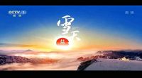 雪天盐再登央视 助力品牌乘风破浪
