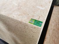 莫干山健康板材，何须众里寻他千百度？