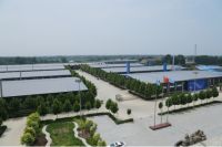 强强联合|顺天美家与门道网达成网络推广战略合作