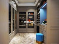 联邦高登衣柜，引领衣柜新潮流