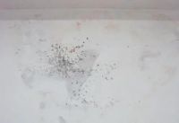 星杰别墅装修“海派精工体系”，5招解决地下室防潮问题