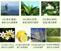 时尚更实用，然飞Risfait喷香机带来馨香干净的空气