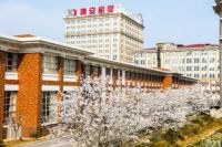 晚安家居数字化升级 重仓线上新媒体营销