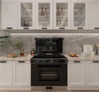 奥田ZKM5集成灶好用吗？