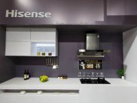 海信厨卫星品集结顺德家电展，潜翼环吸新品烟机惹人惊叹