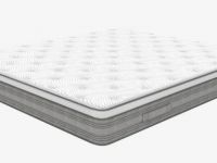 来咯！喜临门“护脊天团”力挺追梦的你